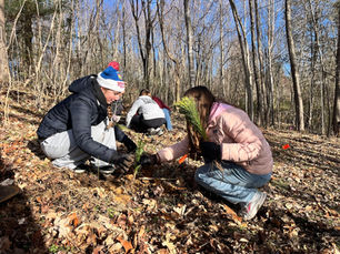 Pitching In for Boxerwood