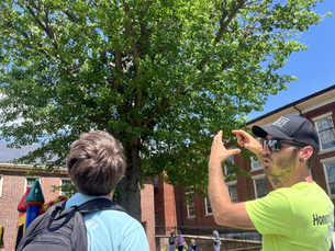 Expert Interview: Arborist Tony Petryszyn