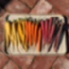 339123913_761467582263533_678941344382345228_n.webp
