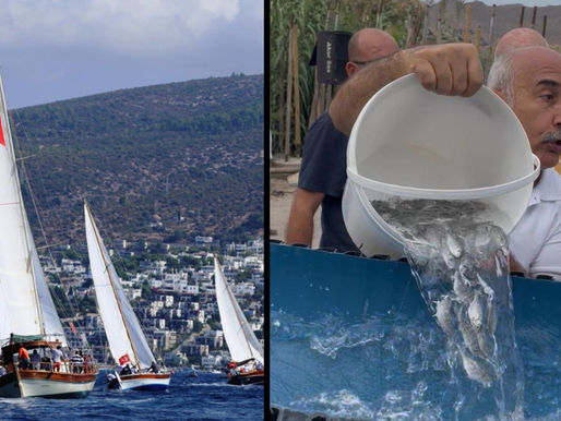 Bodrum, kabına sığmıyor