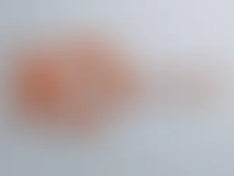 IQ Money'e yasa dışı bahis ve kara para aklama operasyonu