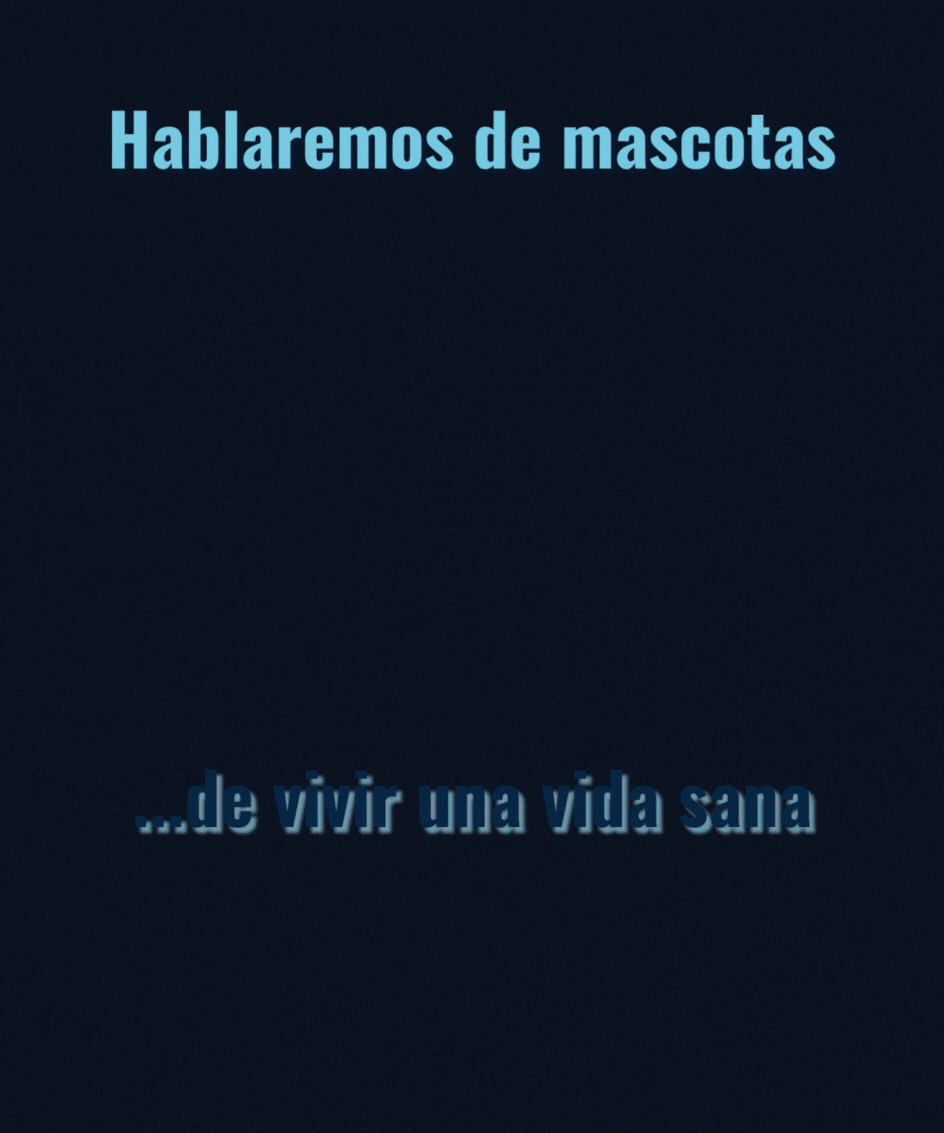 Revista digital, magscotas da terra, contenidos