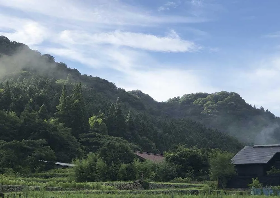 晴れた日の田園風景