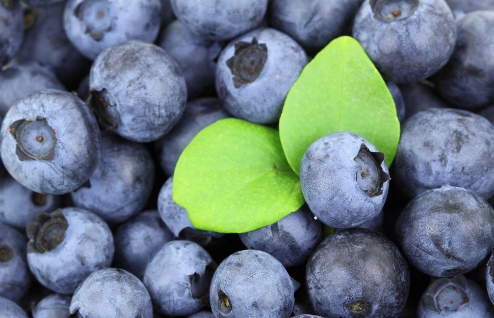 Blueberries.jpg
