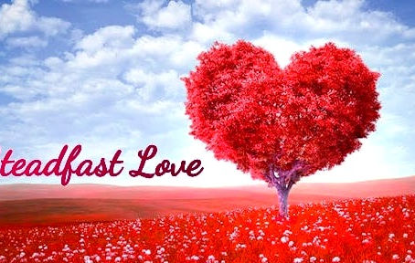 Daily Tonic || Steadfast Love