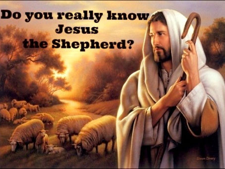 Daily Tonic || The Lord is my Shepherd (3)