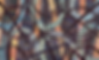 Far Flung_edited.jpg