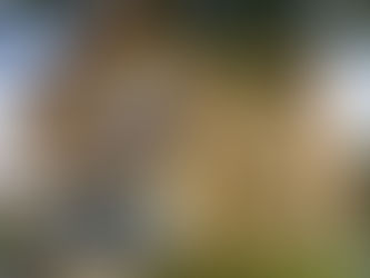 Câmara apoia Semana Nacional da Pessoa com Deficiência