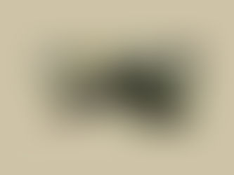 BRIGADA MILITAR PRENDE TRAFICANTECOM ARMA DE "BRINQUEDO" EM CANELA