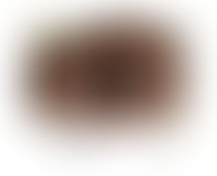 CHOCOLATE REGULAMENTADO - Aprovado projeto que regulamenta percentual de cacau em chocolates 