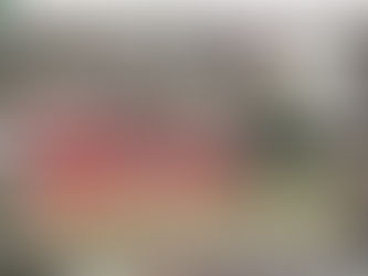 GRAMADO - MAPAS DAS ÁREAS DE RISCO