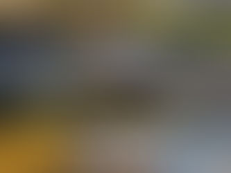 GRAMADO - Câmara realiza evento Meio Ambiente em Pauta no próximo dia 8