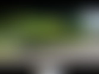 Prefeitura realizará podas na RS-235 na próxima semana