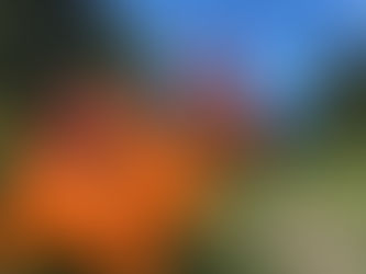 Páscoa em Canela: Decoração começa a tomar conta da cidade