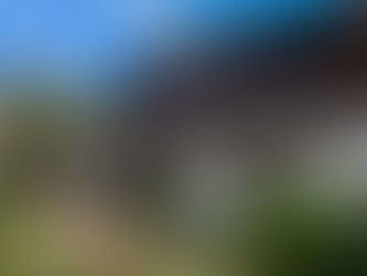 Comissões Permanentes do Legislativo reúnem-se nesta quinta, dia 5