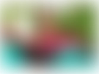 NOVA PETRÓPOLIS - 24ª Exposição Regional de Orquídeas