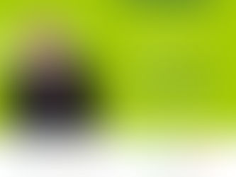 PALESTRA “Liderança, Gestão de Negócios e Gestão de Pessoas”