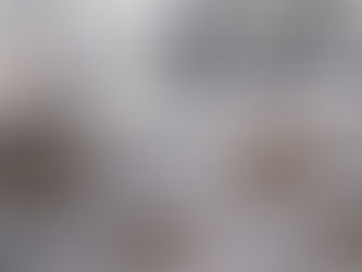 BRIGADA MILITAR INTERCEPTA EM NOVA HARTZ CASAL COM DUAS ARMAS QUE IRIAM PARA CANELA