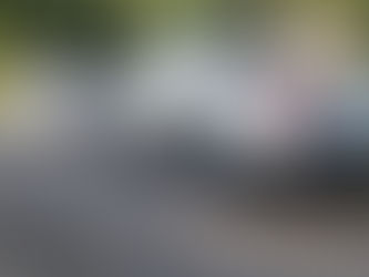 BRIGADA MILITAR DE TRÊS COROAS ATENDE MAIS UM CASO DE MAUS TRATOS CONTRA ANIMAIS