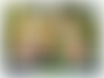 VESTIBULAR DE VERÃO DA UCS: VÁRIAS FORMAS DE INGRESSO NO ENSINO SUPERIORA Universidade de Caxias d