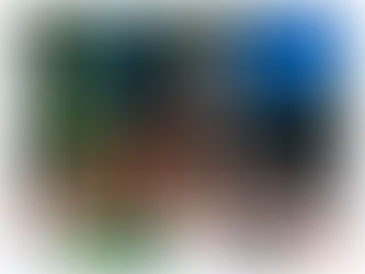 GRUPO DREAMS OFERECE DESCONTO PARA MORADORES