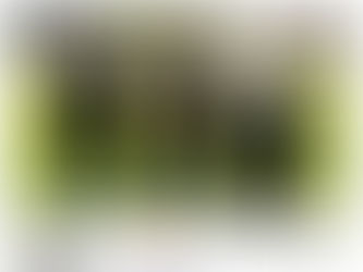 Observadores técnicos da CBF acompanham a Copa Gramado Laghetto sub-16