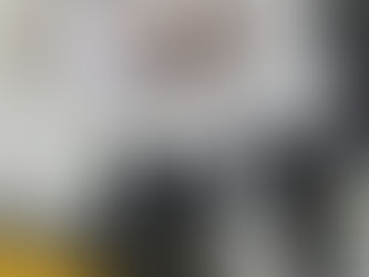 BRIGADA MILITAR DE SÃO FRANCISCO DE PAULA PRENDE POR FURTO EM RESIDÊNCIA