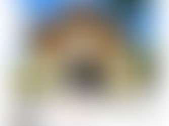 APAE Gramado realizou mais de 26 mil atendimentos ao longo de 2025