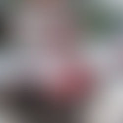 Festa de São Cristóvão e Santo Isidoro movimenta Picada Café