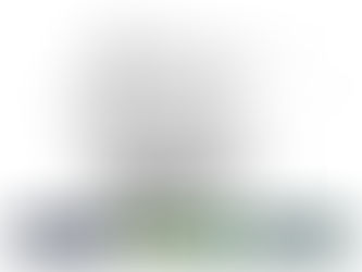 Máscaras voltam a ser obrigatórias no transporte público de São Paulo