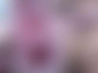 O INÍCIO DA FLORAÇÃO DAS CEREJEIRAS EMBELEZA AS RUAS DE CANELA