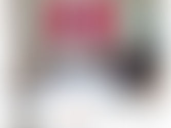 Vereador Rodrigo Rodrigues recebe representantes da Associação Canelense dos Artesãos e discute políticas públicas de apoio ao setor