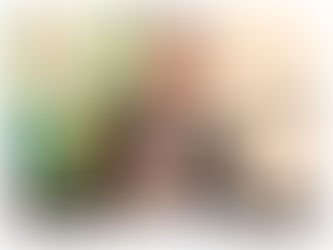 Aprovado projeto de lei que institui nomenclatura de rua na Linha Tapera Alemã