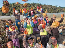 VOCÊ SABIA? Taiwan tem o maior número de variedades de abacaxi do mundo