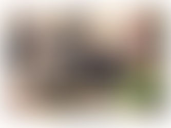 LOJISTAS NACIONAIS CONFIRMAM PRESENÇAS NA EDIÇÃO DO SICC, NO MÊS DE MAIO, EM GRAMADO (RS)