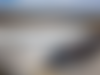 WEG investe em fábrica de tintas no México