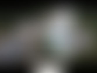 Grupo Ana Nery assumirá a gestão do Hospital Arcanjo São Miguel