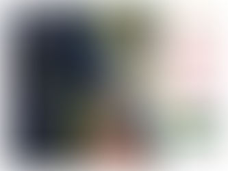 DINHEIRO NA CUECA: Estelionatário é preso pela PRF