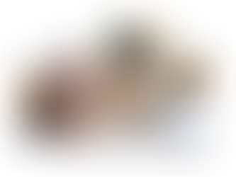 CAPES investirá mais de R$20 milhões em Programa para refugiados