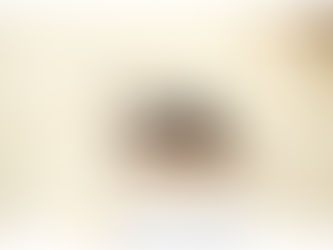 Com 28,8 mil casos, São Paulo tem plataforma sobre situação da dengue