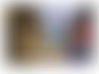 A POPULAÇÃO DECIDE
Os suíços não querem uma proibição radical dos experimentos com animais.