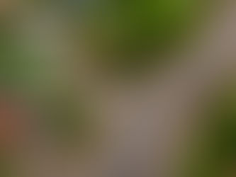 Parque de Gramado cria ensaio gratuito com drone para turistas e visitantes