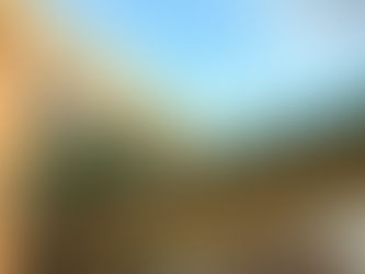 Anvisa encerra análise de pedido de uso emergencial da Covaxin