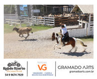 46º Rodeio Crioulo Nacional de Gramado acontece de 6 a 8 de fevereiro