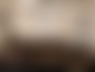 Câmara aprova Operação Urbana Consorciada Lago Negro