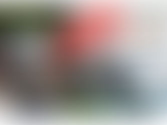 ATENÇÃO - Próximo leilão virtual do DetranRS oferta 447 itens