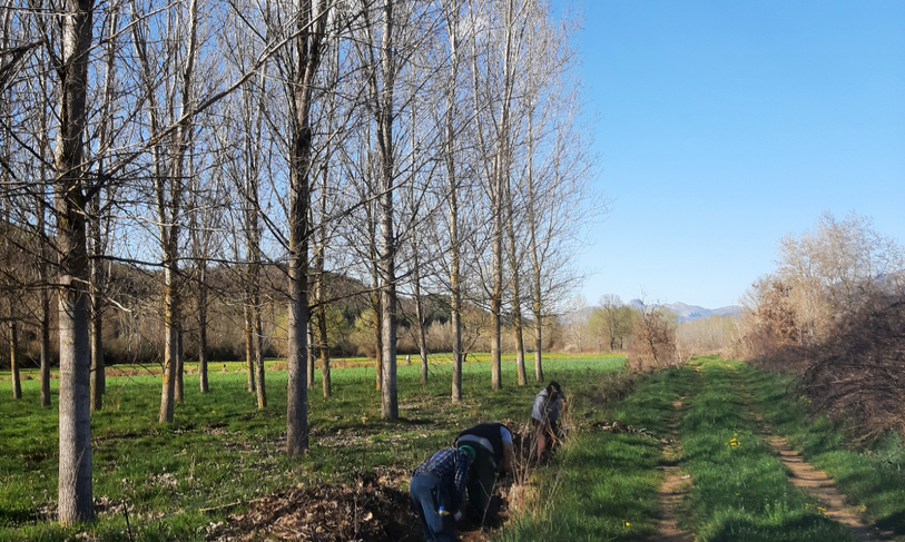 Hacendera Canal Modino-Pesquera Abril 2022 (2).png