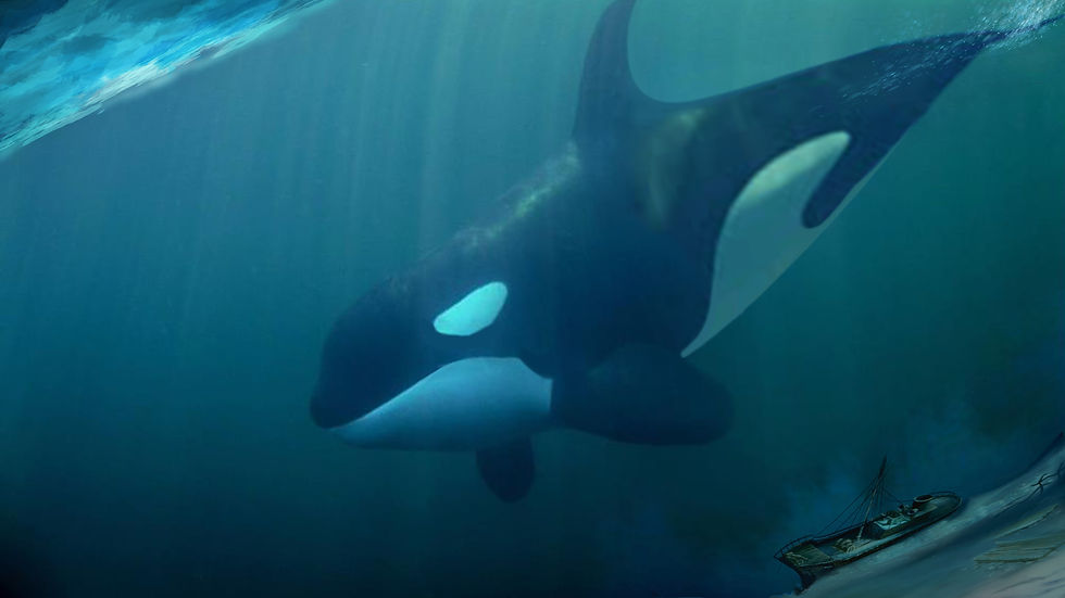 KILLA WHALE SUB