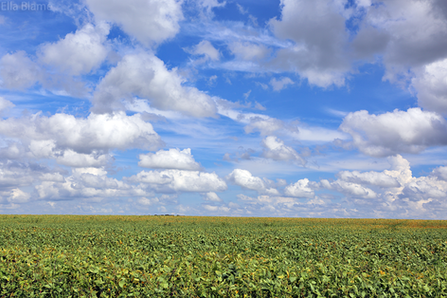 Clouds and Field - Landscape Photography by Ella Blame - L