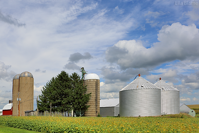 Wisconsin Countryside Farmland with Rural Architecture